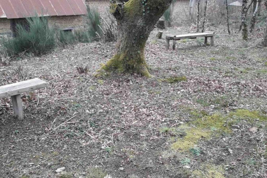 Gite Maison Du Trottoir, Sussac Zewnętrze zdjęcie